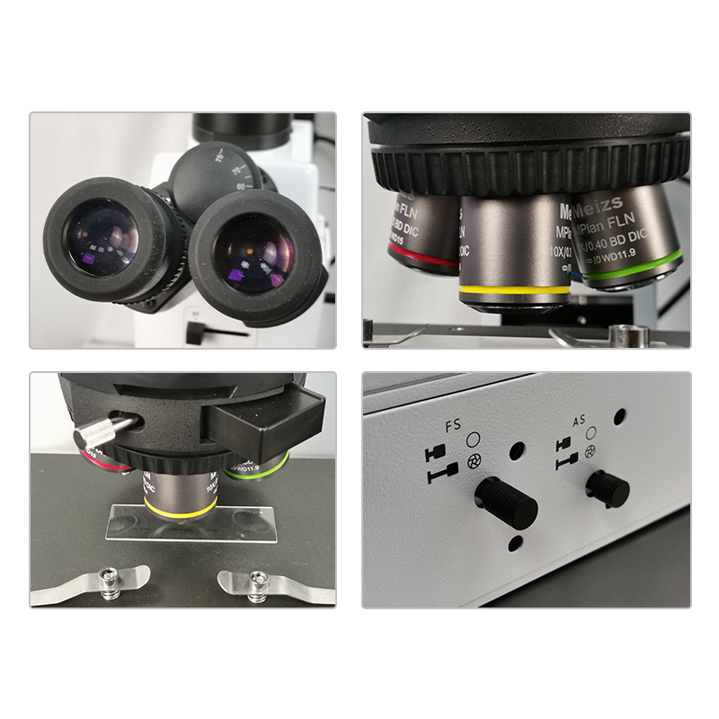 ML9000 Forschungsniveau Aufrechtes Mikroskop ML9000 Forschungsniveau Aufrechtes Mikroskop